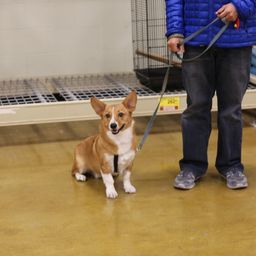 photograph by PeterW